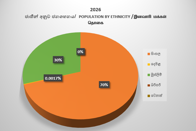 Population by ethnicity2